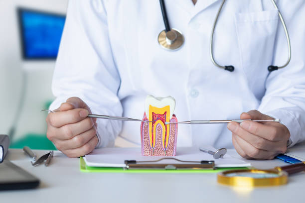 Best Dental Abscess Treatment in Biscoe, NC